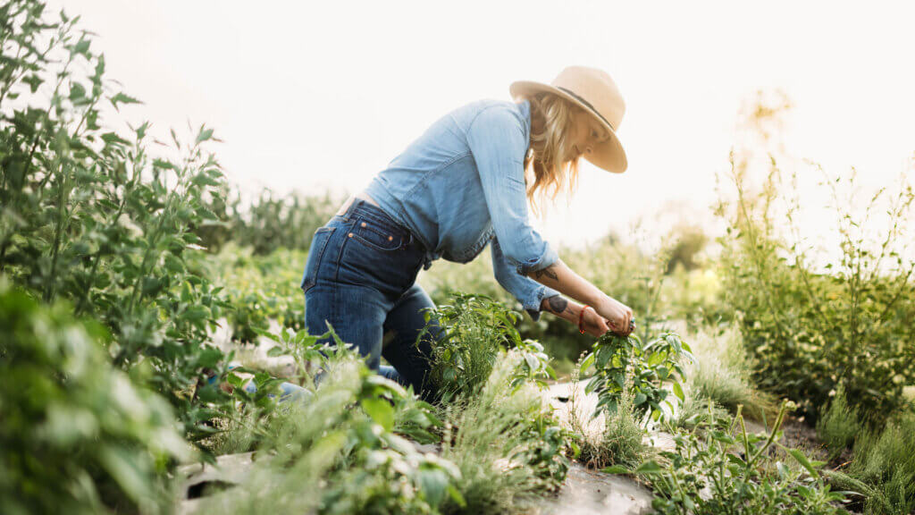 USDA Application Checklist Greater Commercial Lending