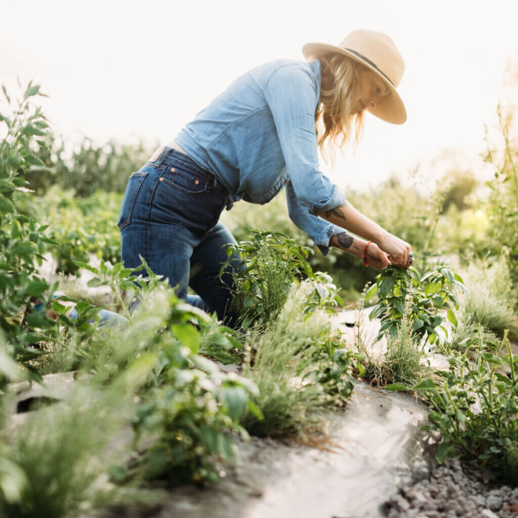 person gardening in a field