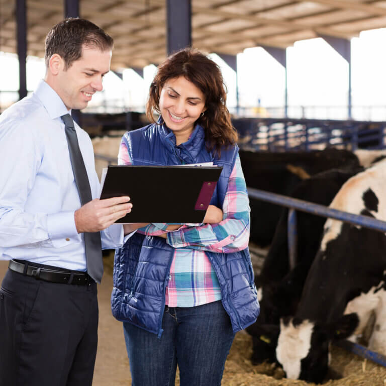 Farmer at cattle ranch reviewing investor documents with a financial advisor