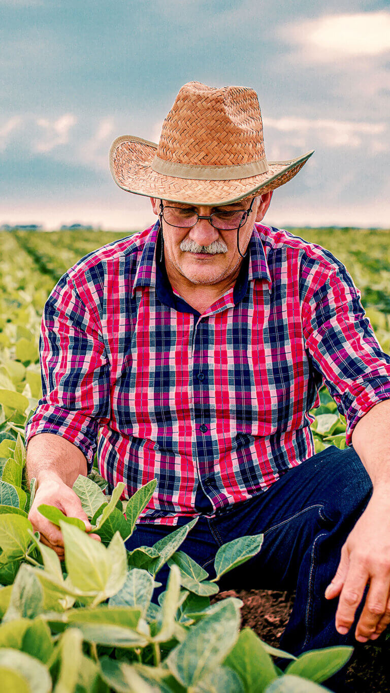Farmer squatting down to examine produce on farm made possible by USDA loans