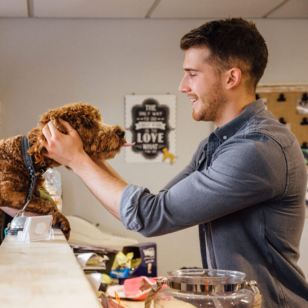 Pet shop owner petting client's dog thanks to a SBA loan