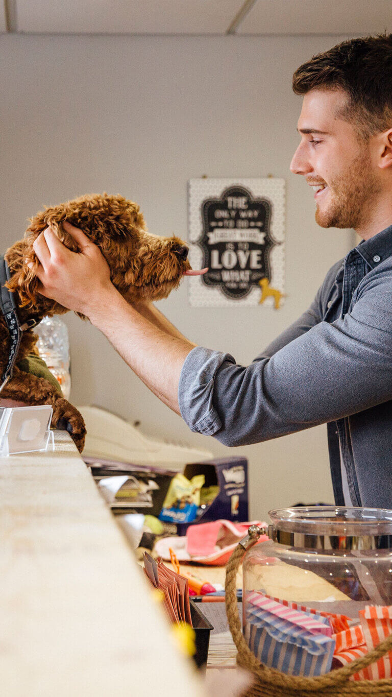 male dog groomer and senior woman discuss sba 7a loan requirements