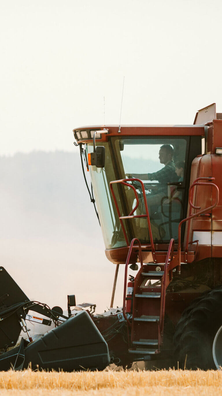 Giant field tractor being driven by farmer, teaching his son safety tips while harvesting the field.