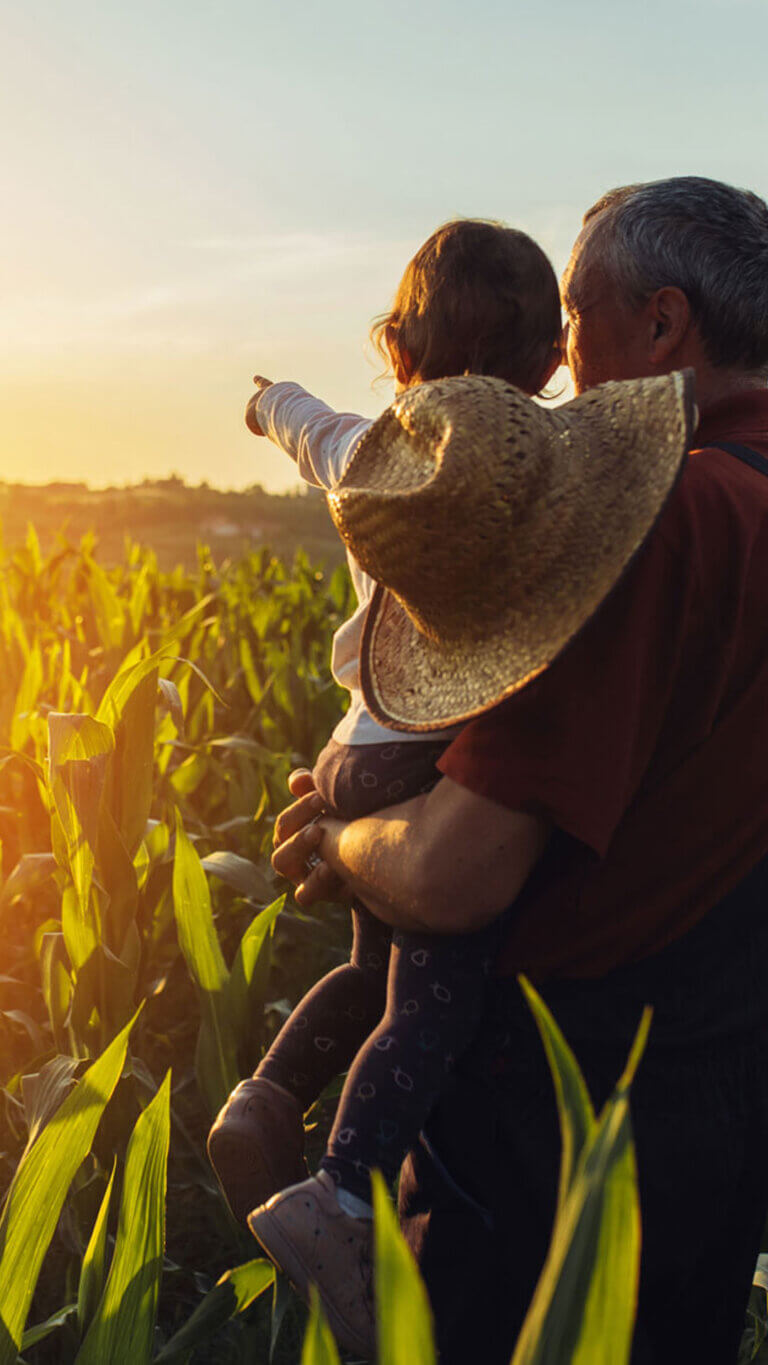USDA farmer and grandchild standing in corn field pointing at the sun.