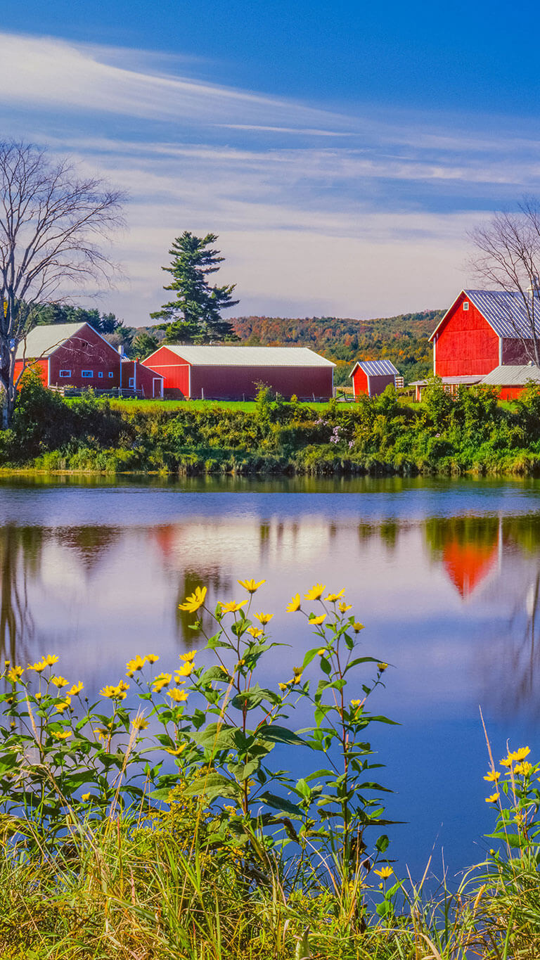 Rural farm with a pond