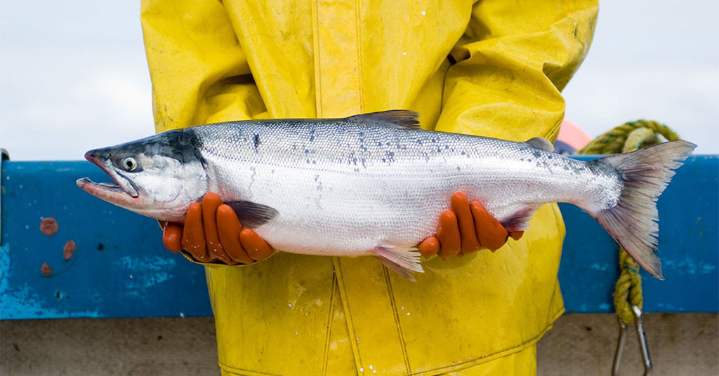 Northline Seafoods holding a fish